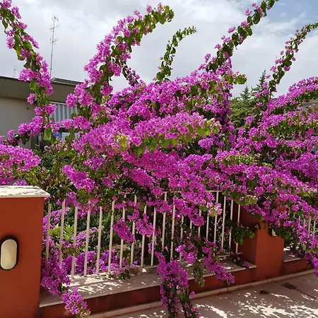 Panzió Dimora D'amato Grumo Appula